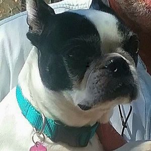 Meet your Posher, Betsy